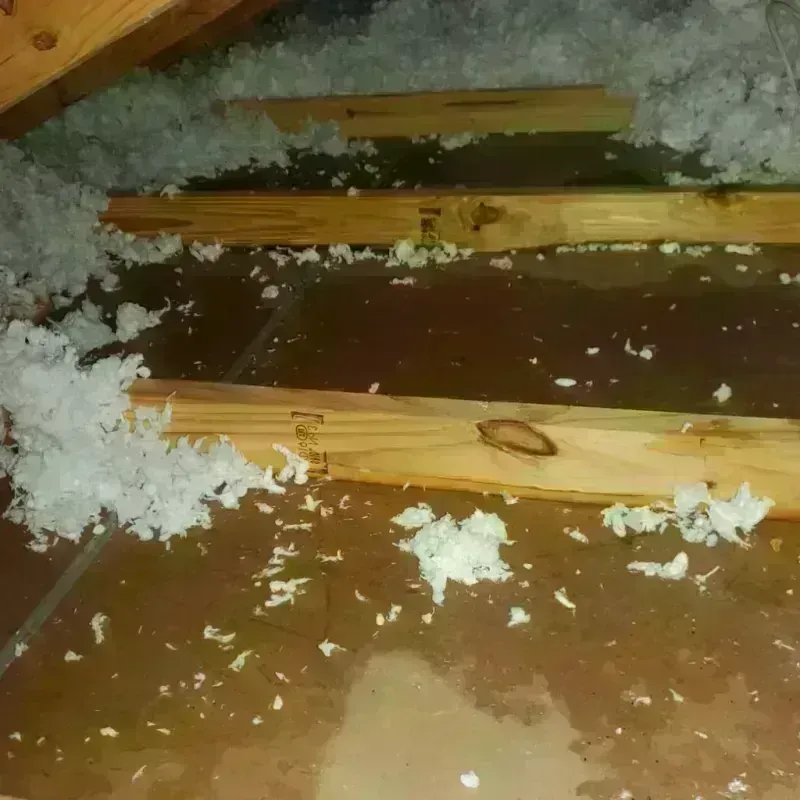 Attic Water Damage in Pace, FL